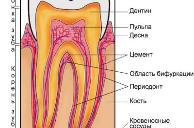 чистка зубов лазером что это. Смотреть фото чистка зубов лазером что это. Смотреть картинку чистка зубов лазером что это. Картинка про чистка зубов лазером что это. Фото чистка зубов лазером что это